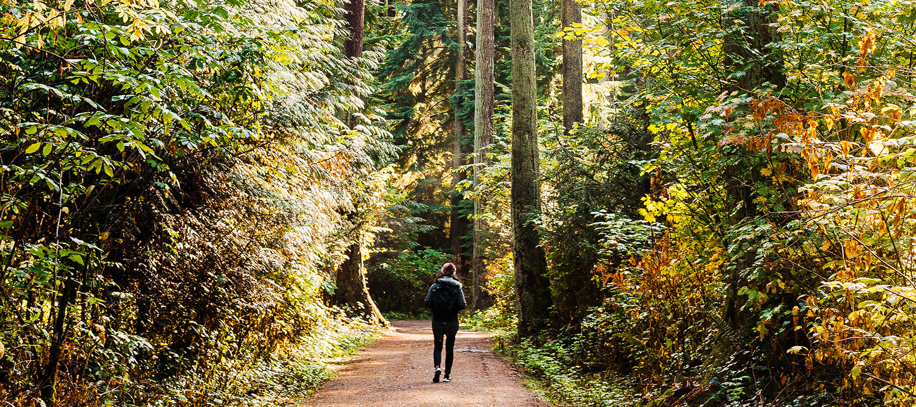 Image of person walking through the woods. 