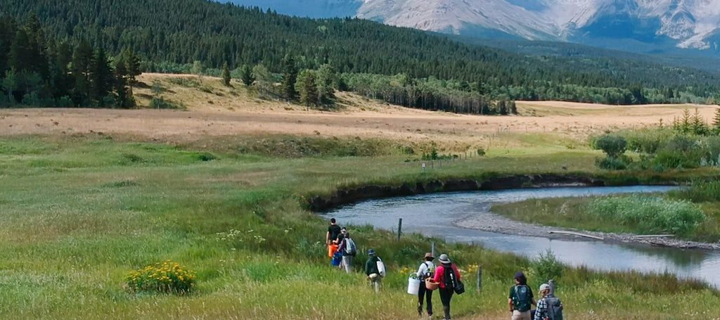 image of people walking through large open space with mountains in Crowsnest Pass, Alberta.