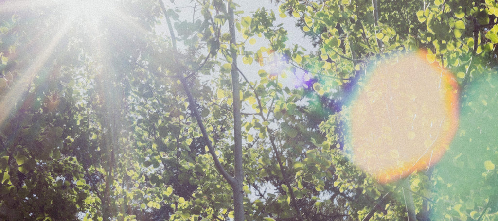 25 years of learning and evolving