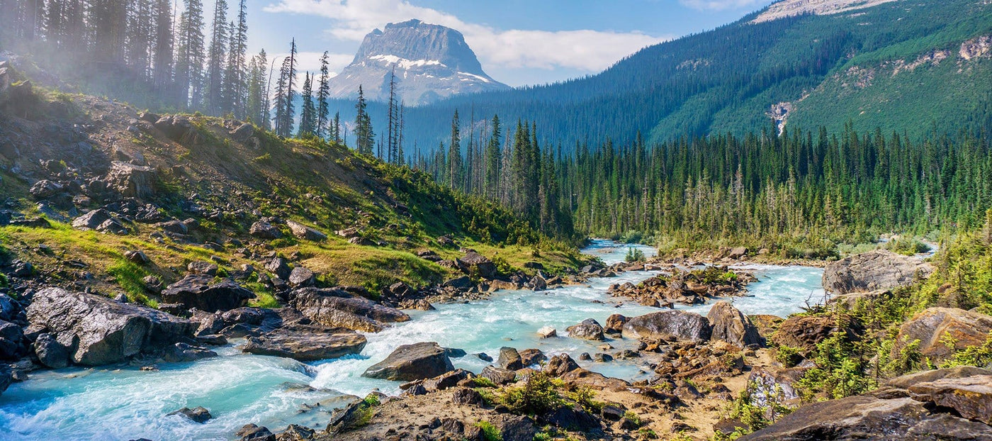 Our Canadian Suppliers Spotlight Rocky Mountain Soap