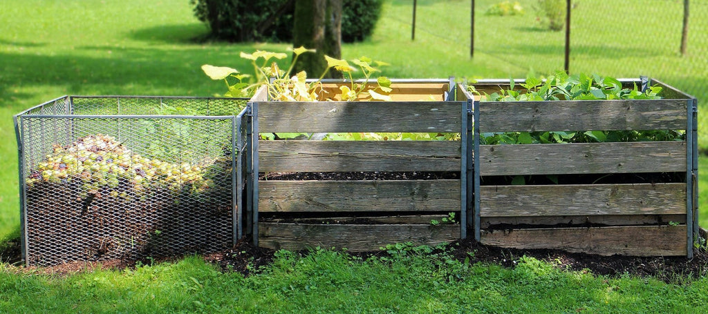 Composting: For the Love of Worms