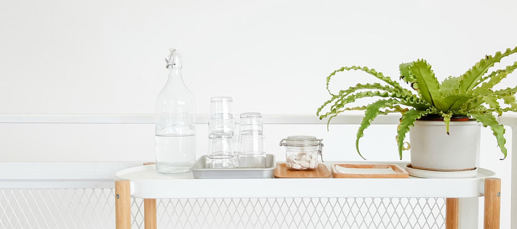 Sustainable Products We Love