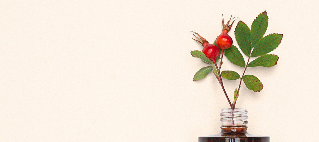 Fall Ingredients That Are Great For Your Skin