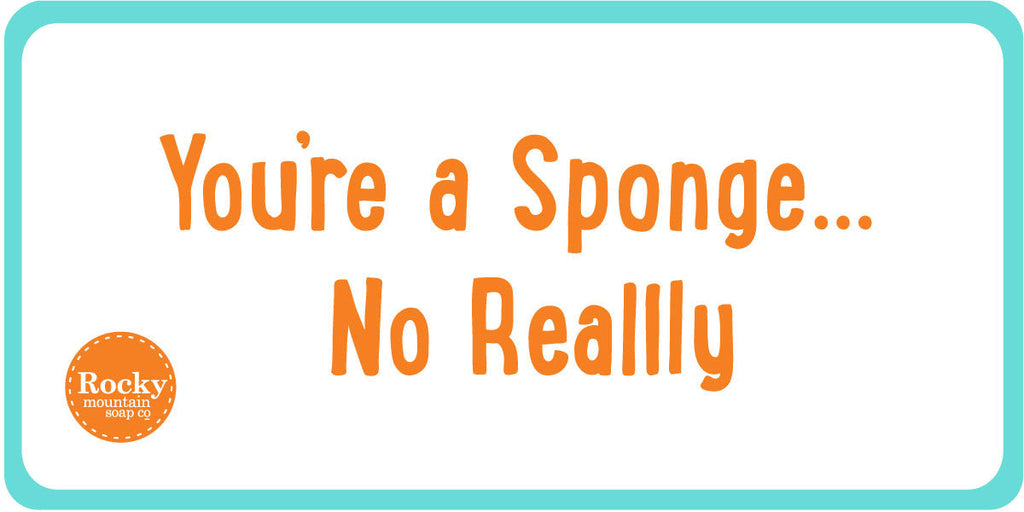 You're A Sponge... No Really