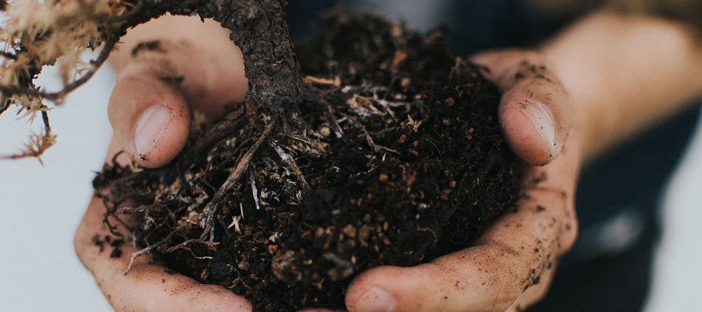 Your Gardening Hand Care Duo