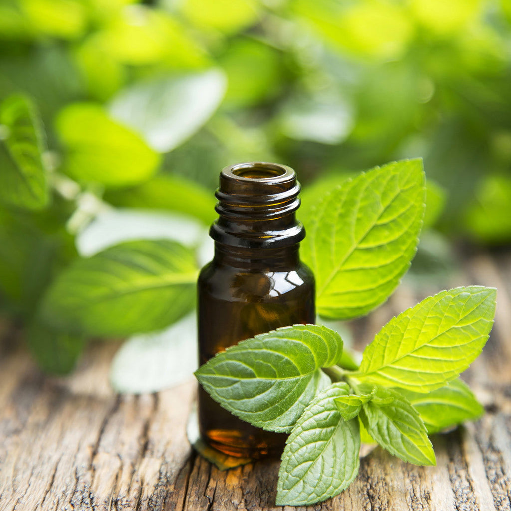 The Power of Peppermint