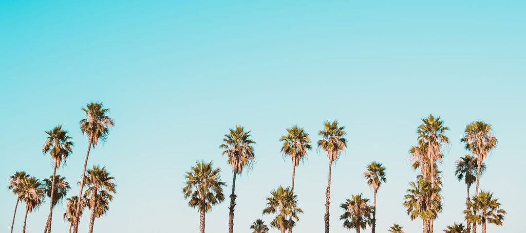 Choose Natural Sunscreen