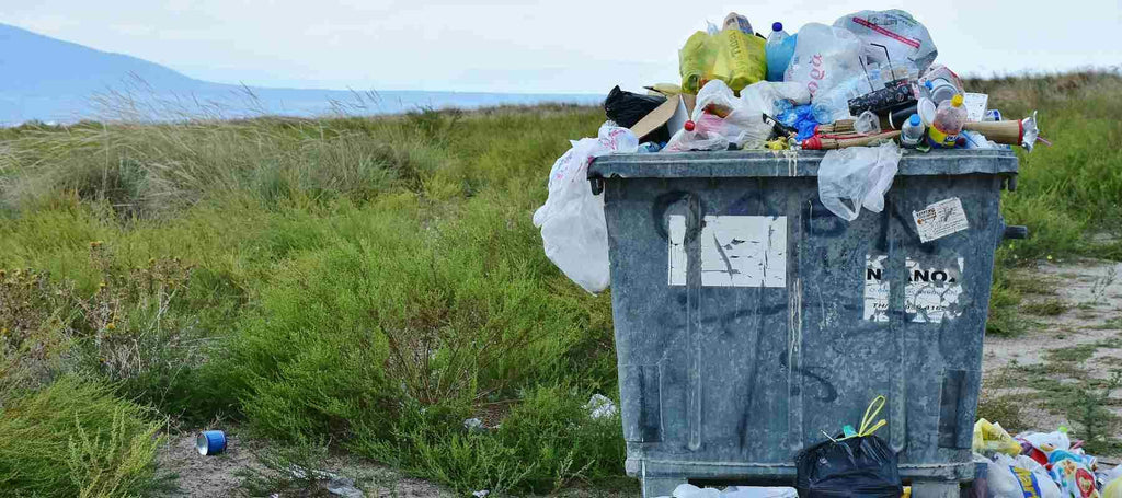 What's Waste Reduction Week All About?