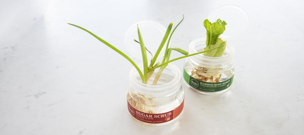 Grow your own vegetables in a upcycled water garden