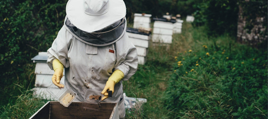 Meet our Beeswax Farmer