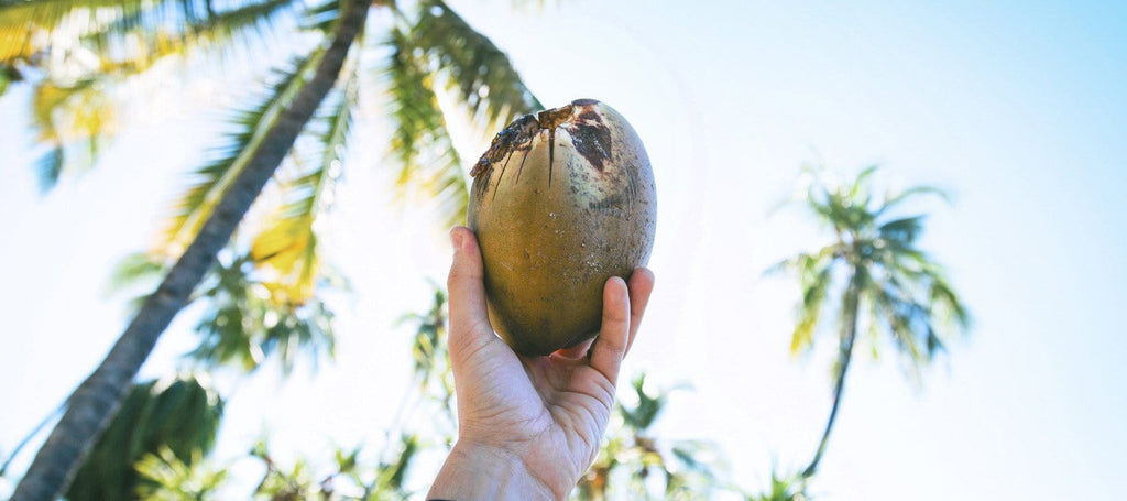 uses for coconut oil