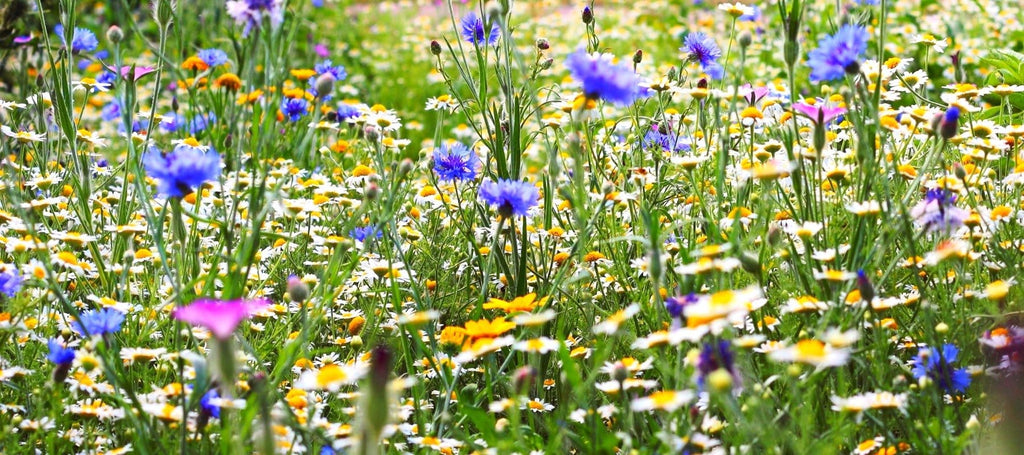 Creative Ways To Get Outside More This Summer