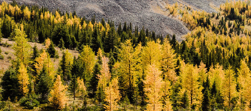 GET OUTSIDE IN NATURE THIS FALL