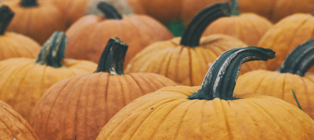 pumpkin