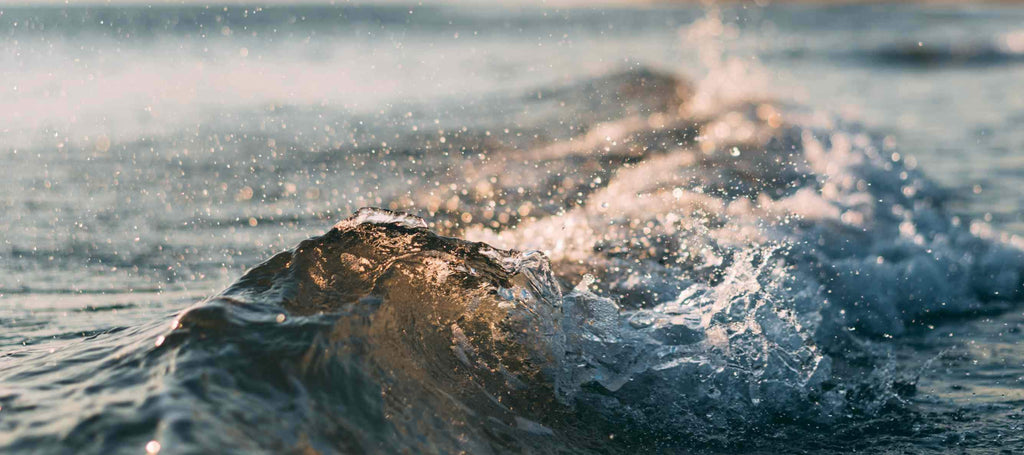 Celebrate World Water Day