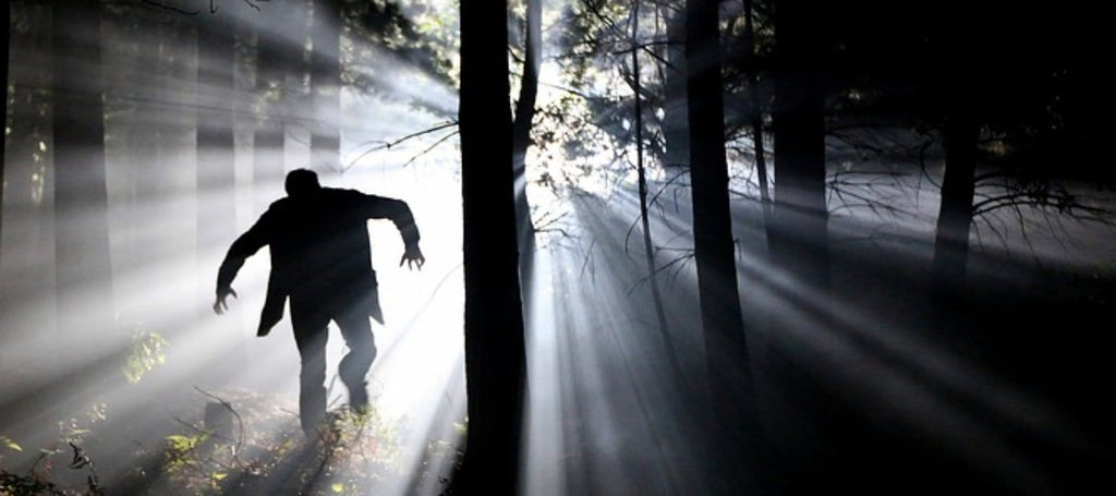 5 Steps to Survive the Zombie Apocalypse - Rocky Style