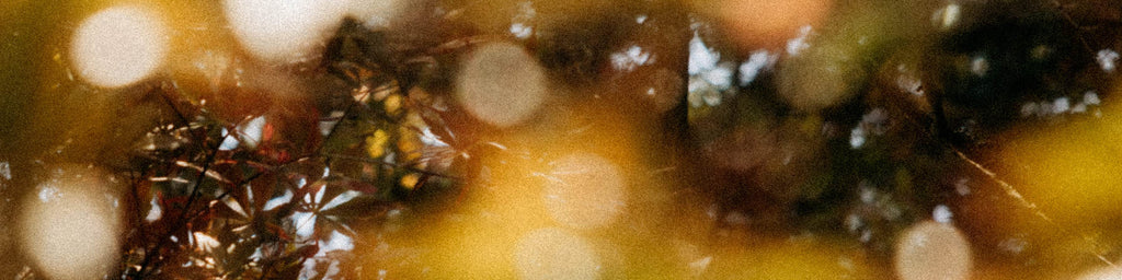 Self-Care Essentials