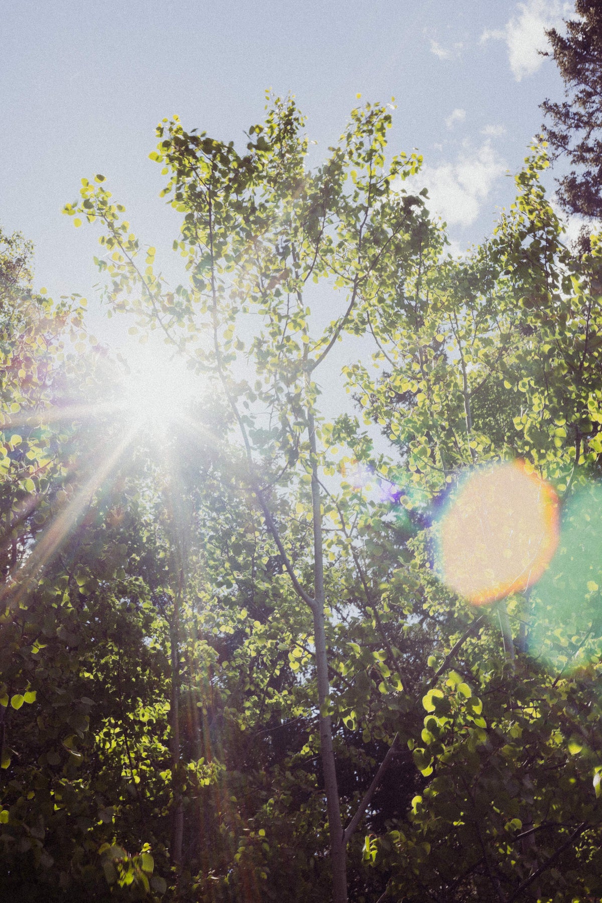 Handwashing