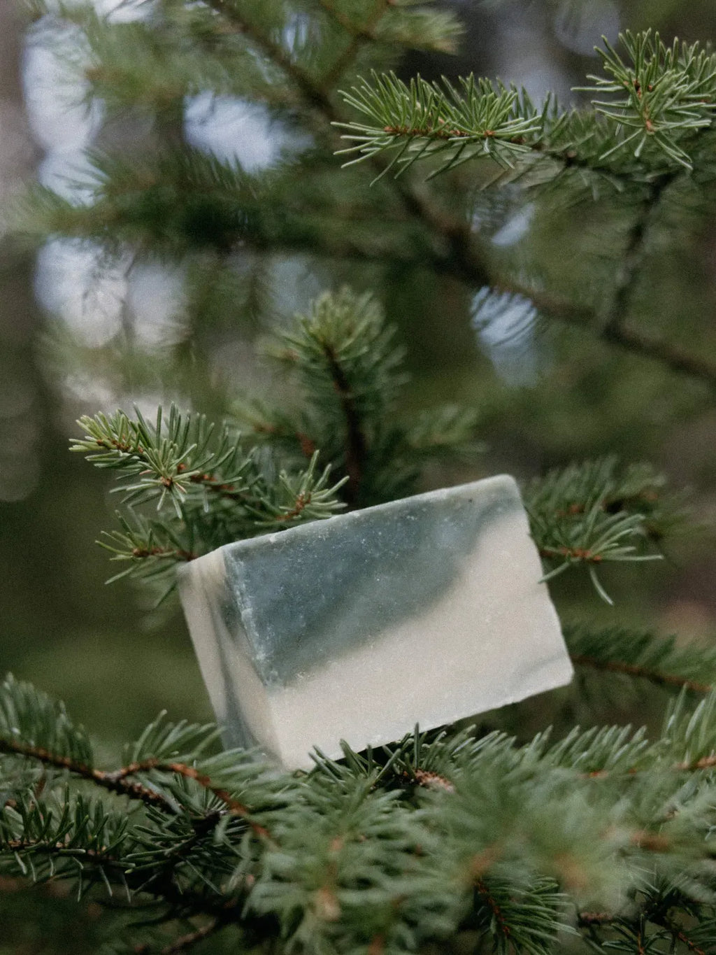 Evergreen Community Soap