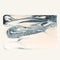 Fennel & Charcoal