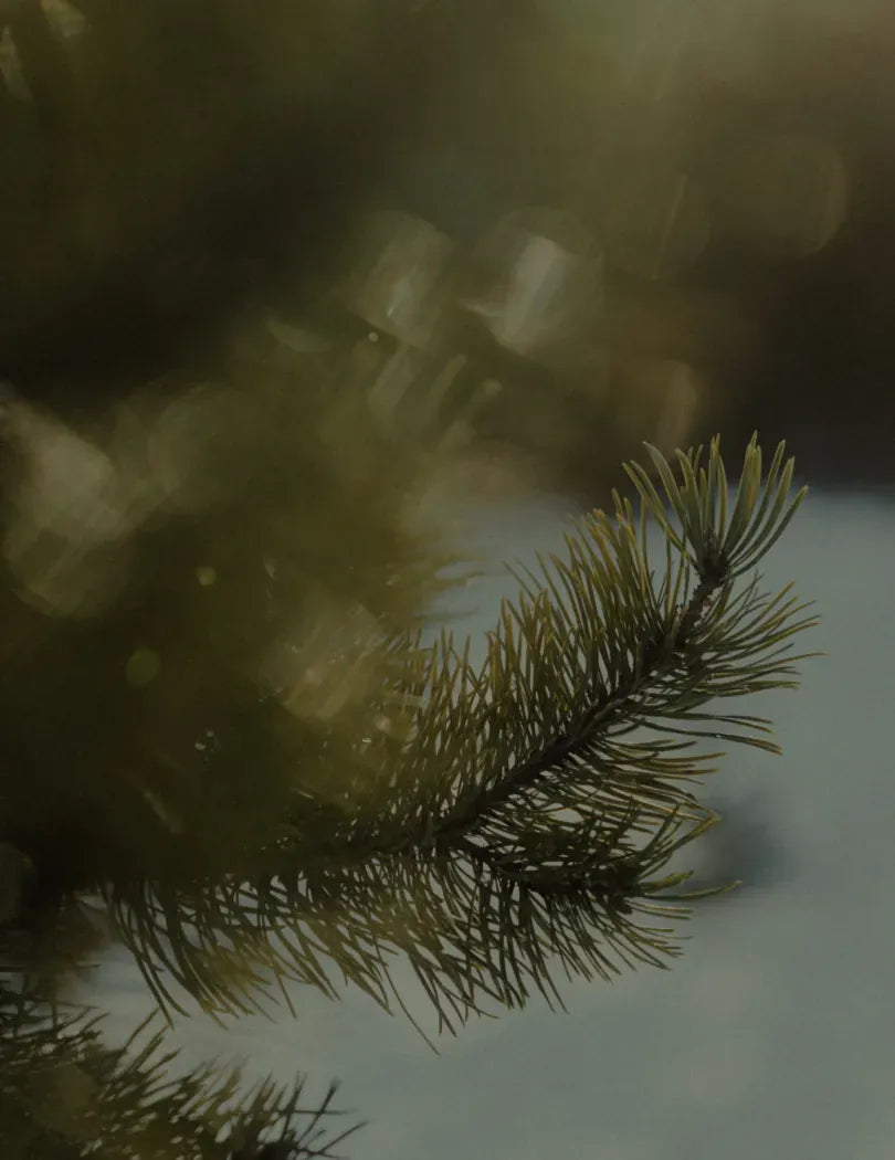 Shop Winter Collection