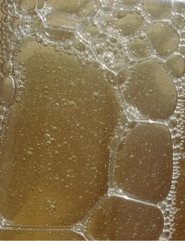 Rosemary Mint Everything Wash