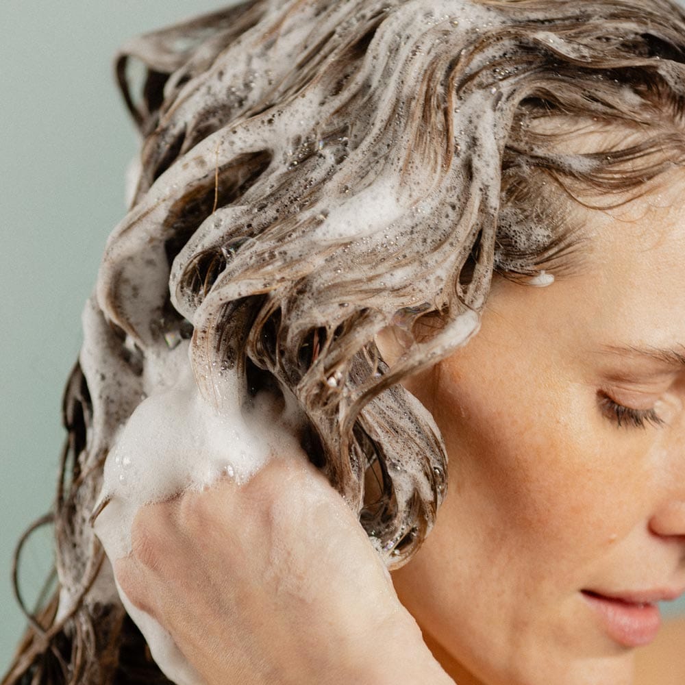 Cedarwood & Lime Wild Kindness Shampoo