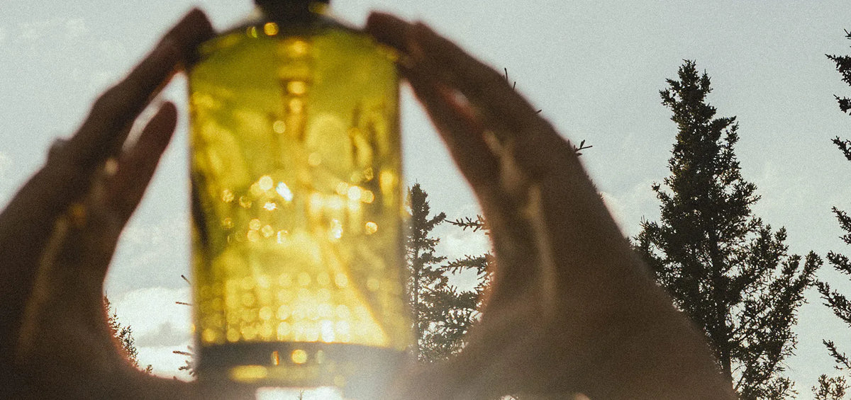 Hands holding an amber Rocky bottle up against the sun and a stand of spruce