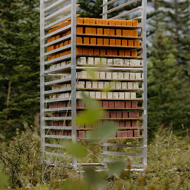 Freshly poured bars curing on a rack outdoors
