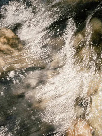 Water catching the light in the forest