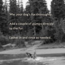 How To Wash Your Pets 