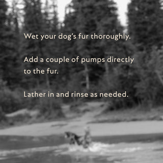 How To Wash Your Pets 