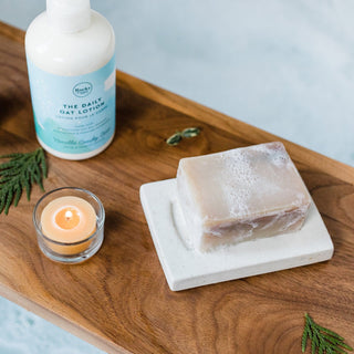 soap dish